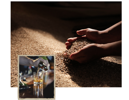 MGP Distillery